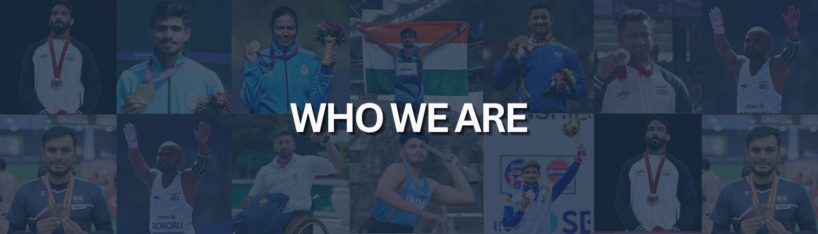 axm player all players portfolio